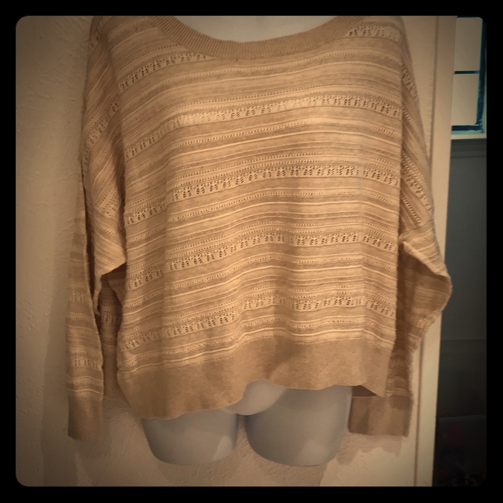 ✨NWOT Cream Crop Sweater SzXL✨